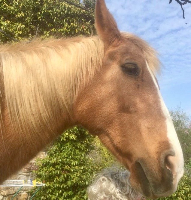 Auf das System schauen!