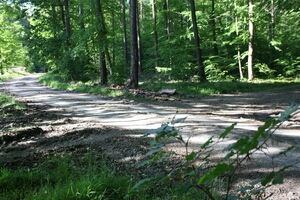 What is your choice?