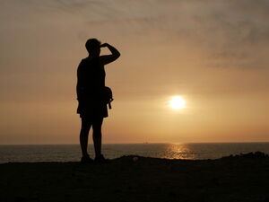 Are you the missing link? The way to find out is to read on and join in!