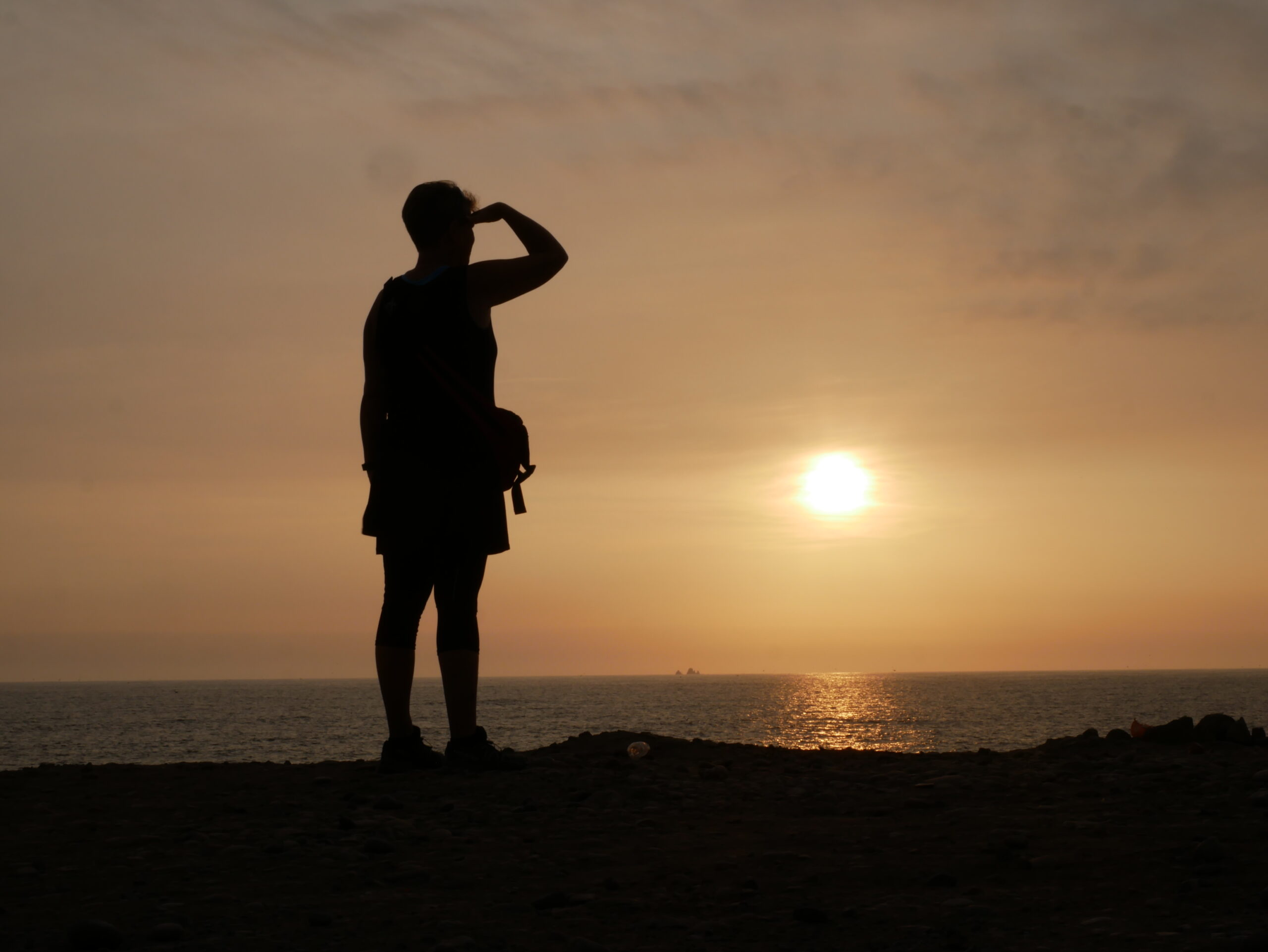 Are you the missing link? The way to find out is to read on and join in!