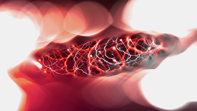 Impulse wie wir trotz der Umstände unser Leben kraftvoll gestalten können.